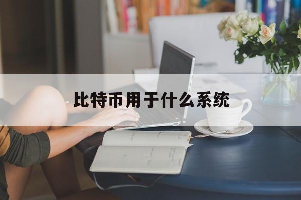 比特币用于什么系统(比特币主要使用了哪一项技术)