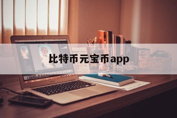 比特币元宝币app(比特元钱包客户端下载)